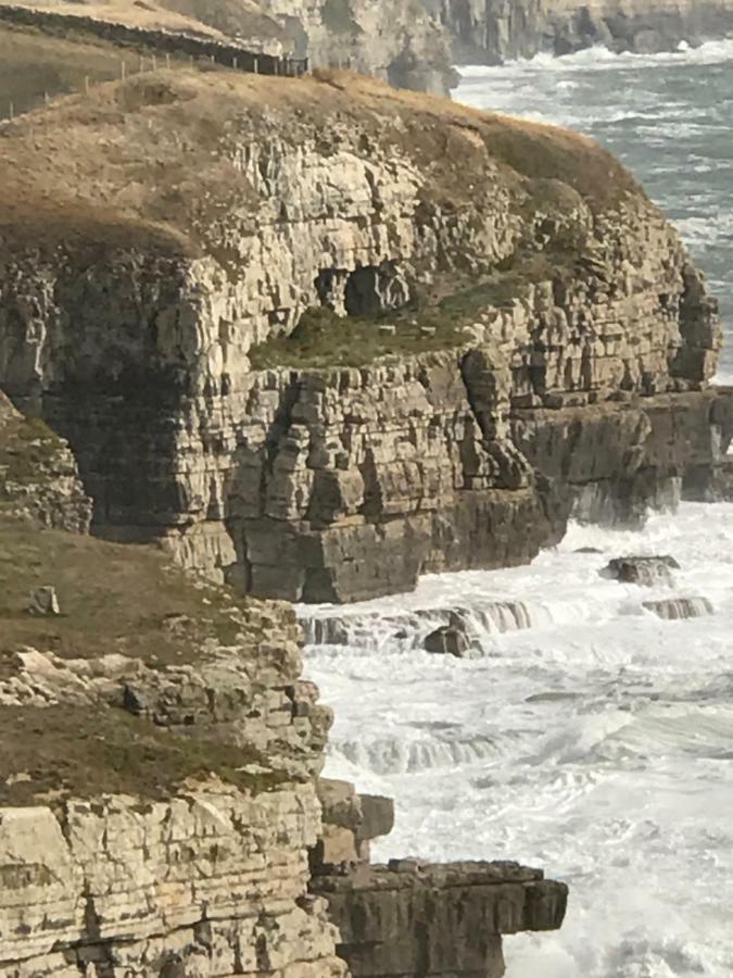 The Wing -Near To The Beaches And Bournemouth University Bagian luar foto